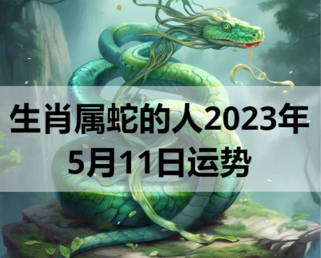 生肖属蛇的人2023年5月11日运势