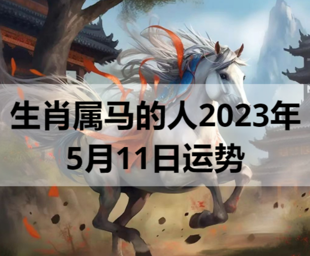 生肖属马的人2023年5月11日运势