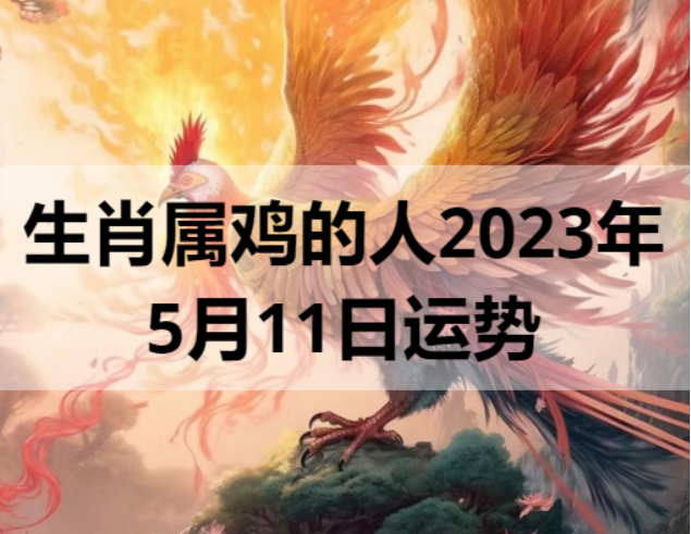 生肖属鸡的人2023年5月11日运势
