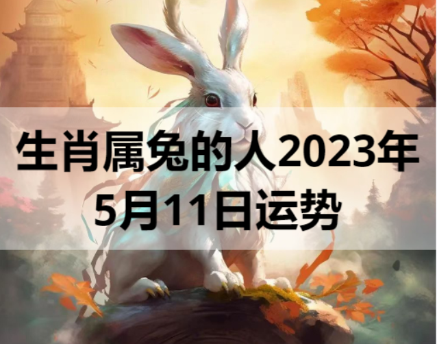 生肖属兔的人2023年5月11日运势