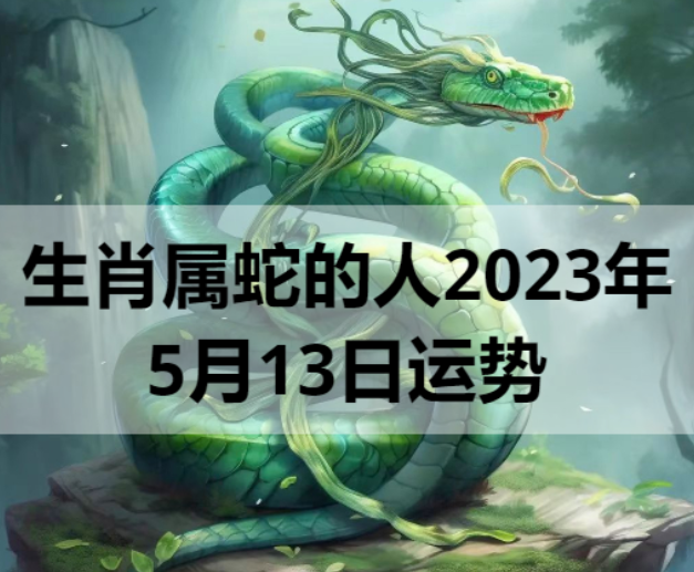 生肖属蛇的人2023年5月13日运势