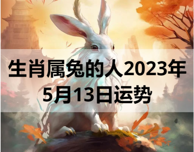生肖属兔的人2023年5月13日运势