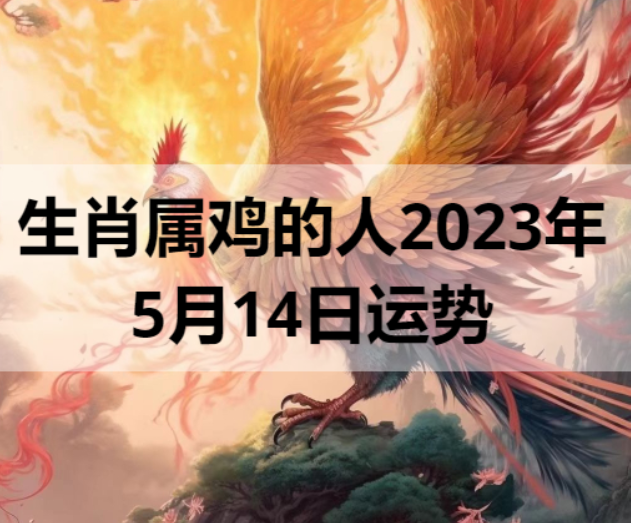 生肖属鸡的人2023年5月14日运势