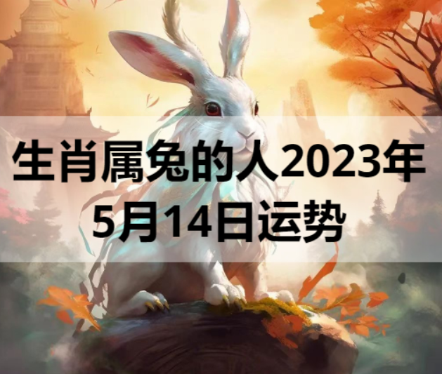 生肖属兔的人2023年5月14日运势
