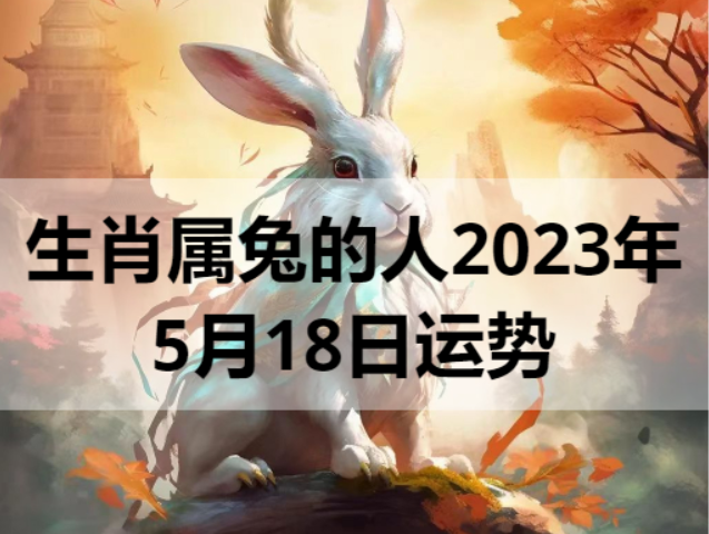 生肖属兔的人2023年5月18日运势