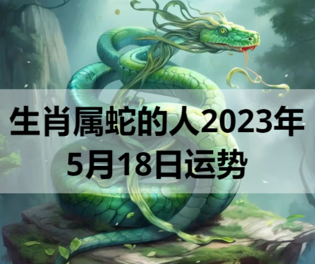 生肖属蛇的人2023年5月18日运势