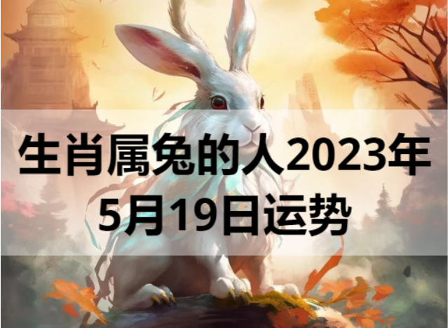 生肖属兔2023年5月19日运势