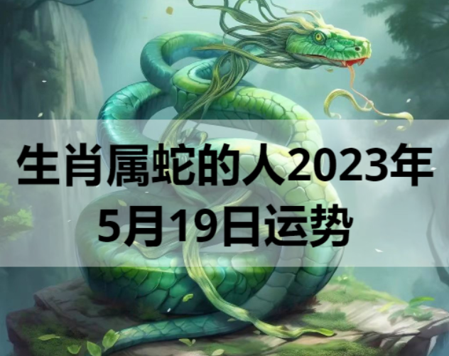 生肖属蛇2023年5月19日运势