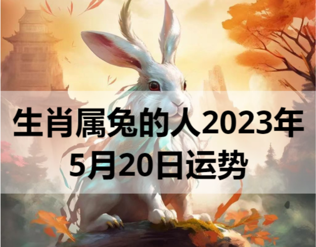 生肖属兔的人2023年5月20日运势