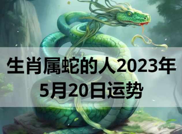 生肖属蛇的人2023年5月20日运势