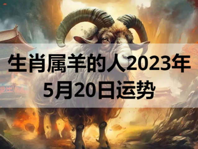 生肖属羊的人2023年5月20日运势