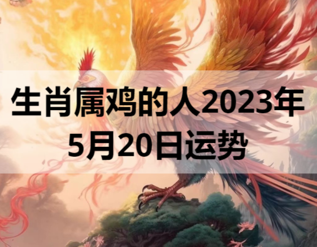 生肖属鸡的人2023年5月20日运势