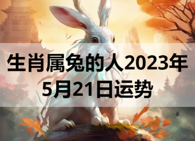生肖属兔的人2023年5月21日运势