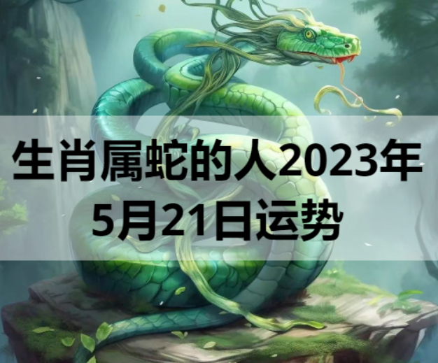 生肖属蛇的人2023年5月21日运势