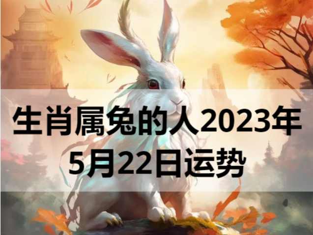 生肖属兔的人2023年5月22日运势