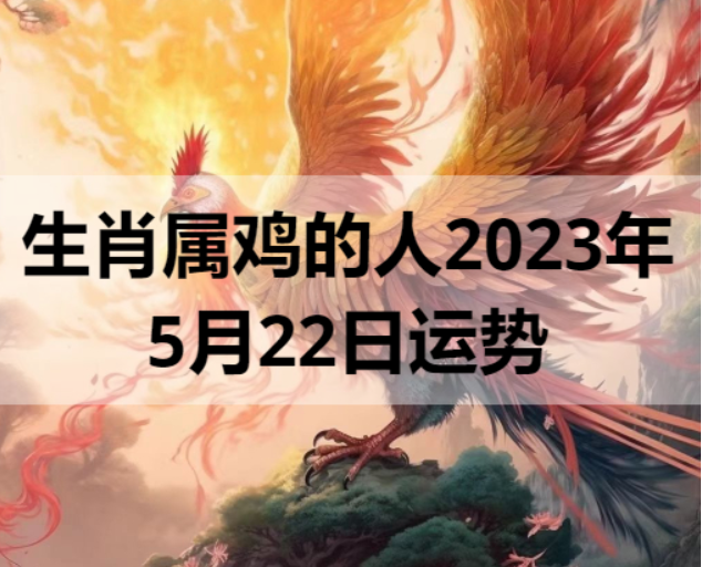 生肖属鸡的人2023年5月22日运势
