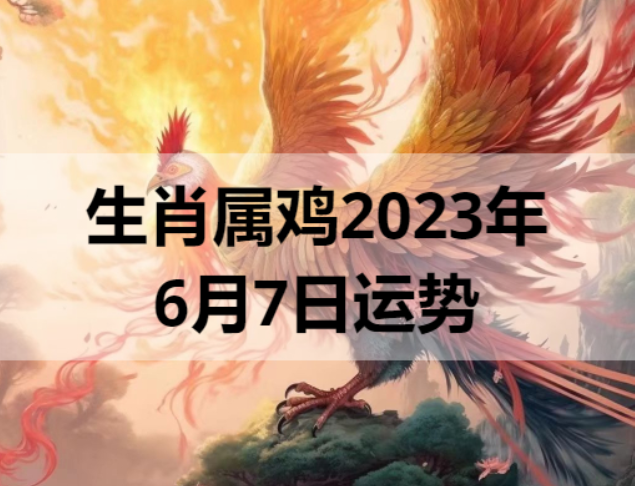 生肖属鸡2023年6月7日运势