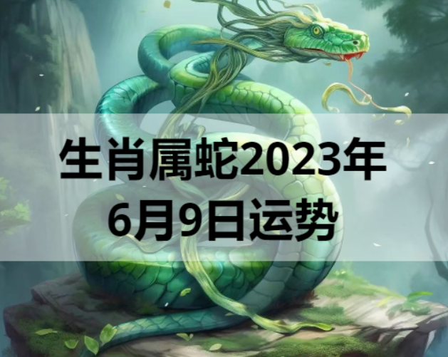 生肖属蛇2023年6月9日运势