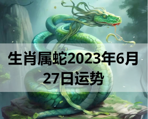 生肖属蛇2023年6月27日运势