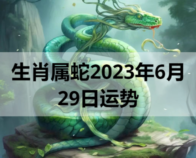 生肖属蛇2023年6月29日运势