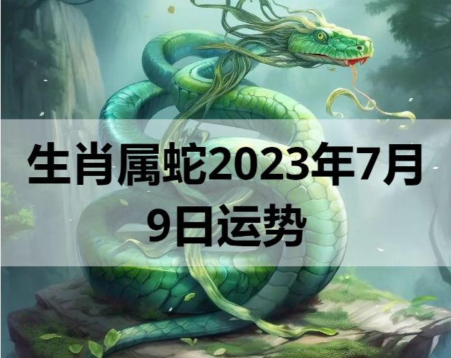 生肖属蛇2023年7月9日运势