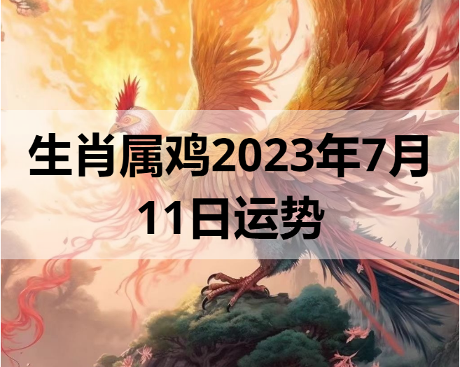 生肖属鸡2023年7月11日运势