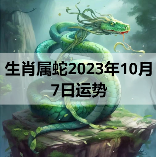 生肖属蛇2023年10月7日运势