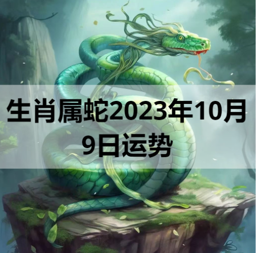 生肖属蛇2023年10月9日运势