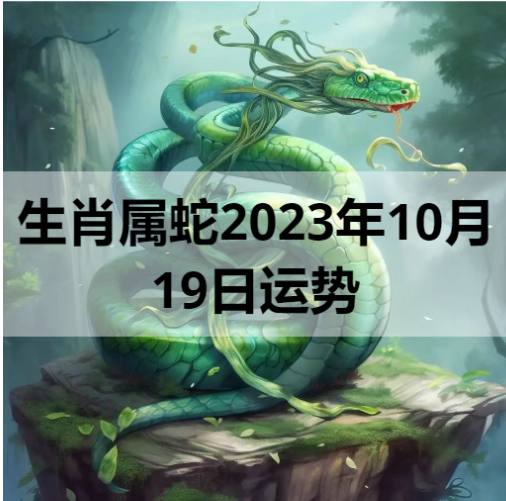 生肖属蛇2023年10月19日运势