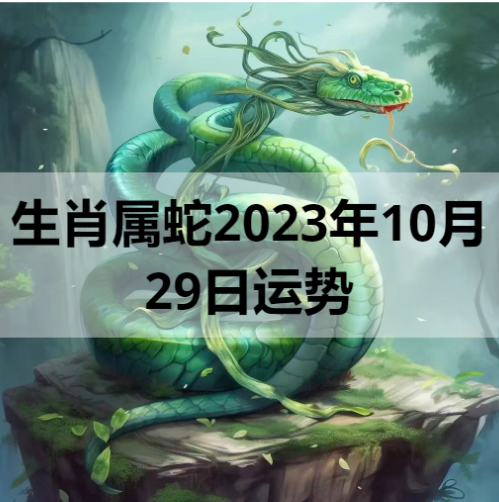 生肖属蛇2023年10月29日运势