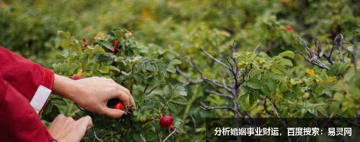 射手座最惧怕失去的星座难以调和的矛盾
