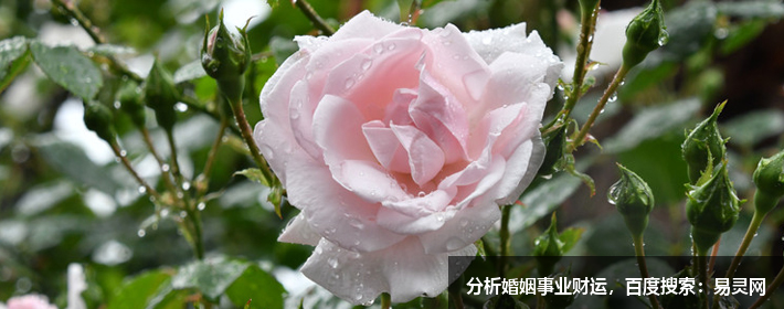 仙女ins森系网名（总有一个昵称你喜欢）