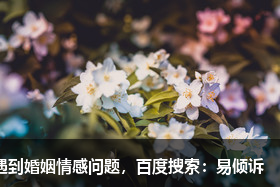 跟摩羯座吵架避坑