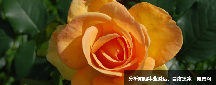 简单的两个字微信网名（简约昵称二字）