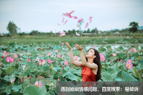 如何查询公司名称是否被注册