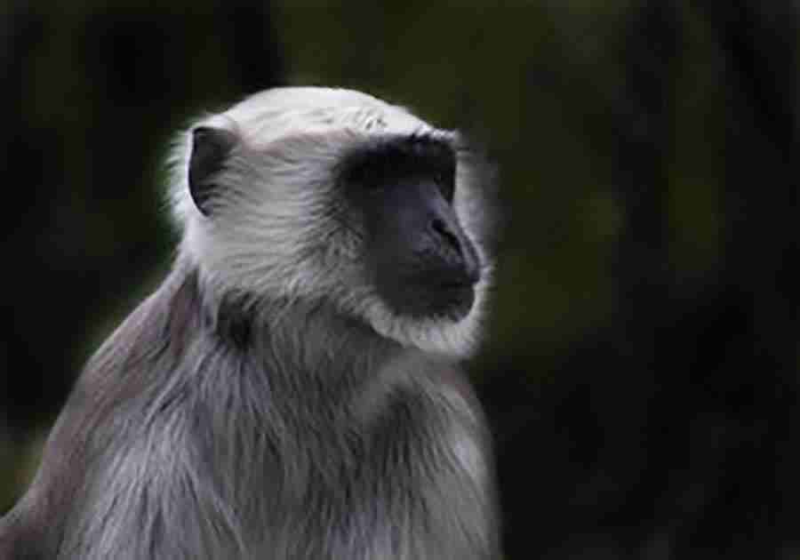 东哥照片