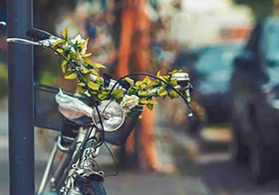 陈孝正照片