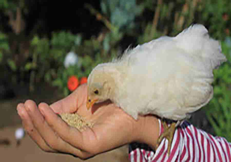 蔡晓丽照片