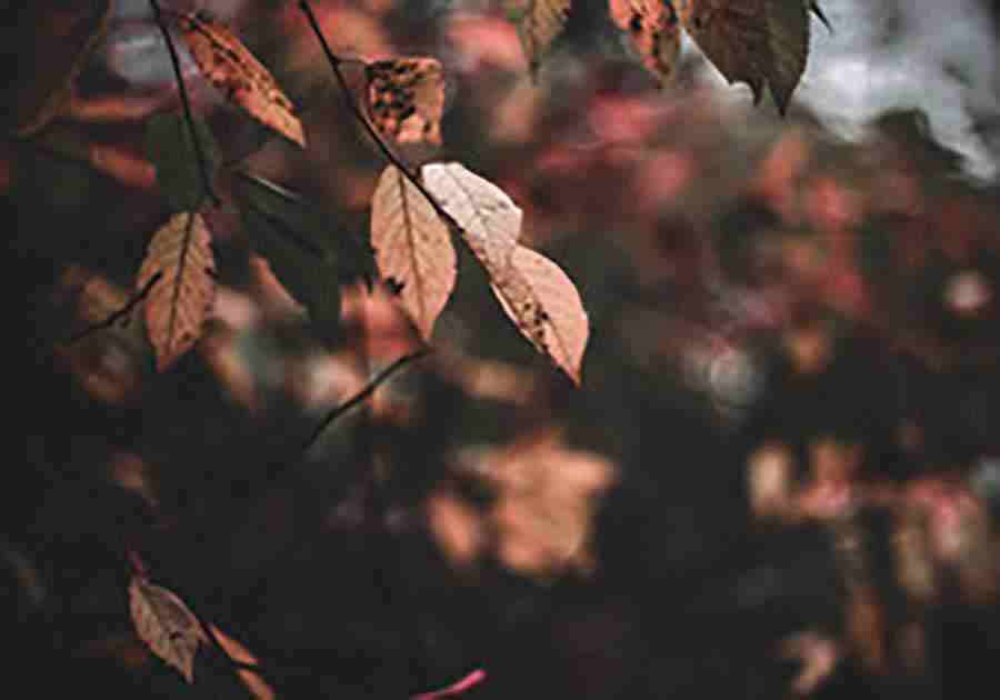 孙玉厚照片