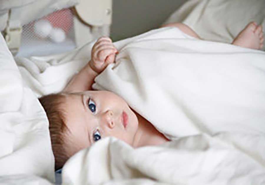 冯铁豹照片