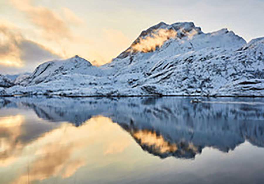 卫庄照片