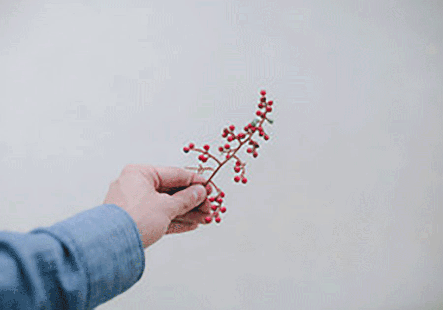 陈家碧照片