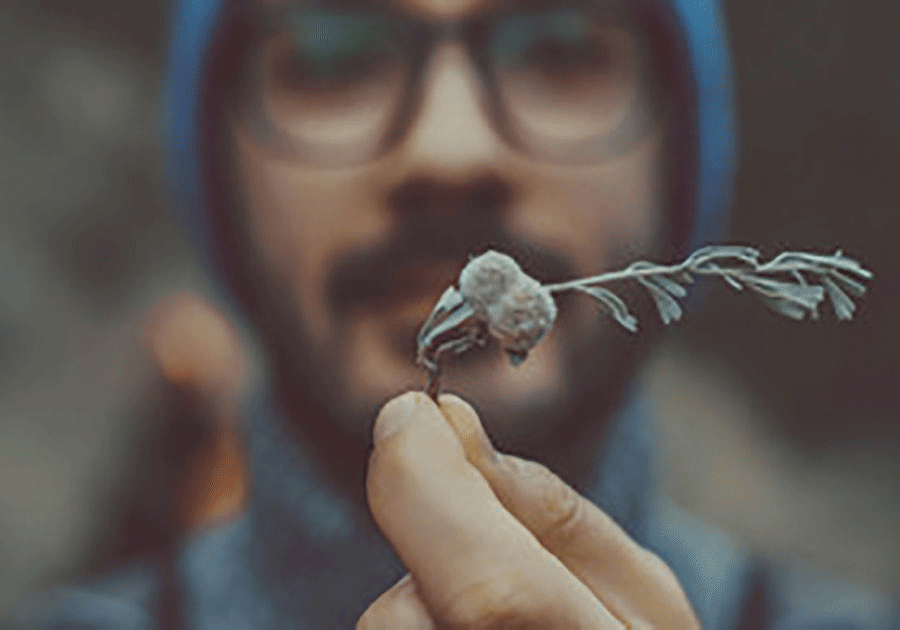 钮祜禄.怜儿照片