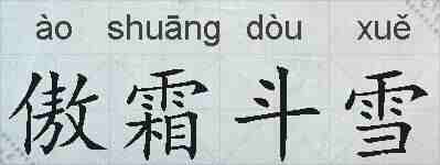傲霜斗雪的拼音