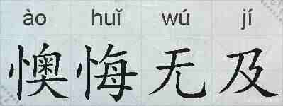 懊悔无及的拼音
