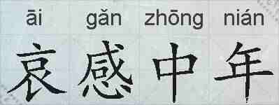 哀感中年的拼音