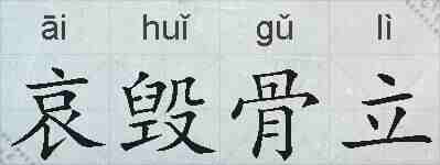 哀毁骨立的拼音