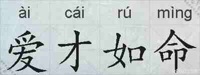 爱才如命的拼音