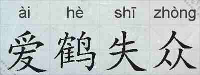 爱鹤失众的拼音