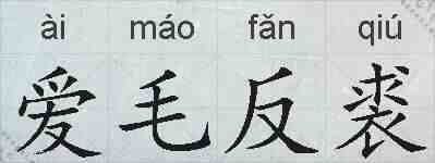 爱毛反裘的拼音